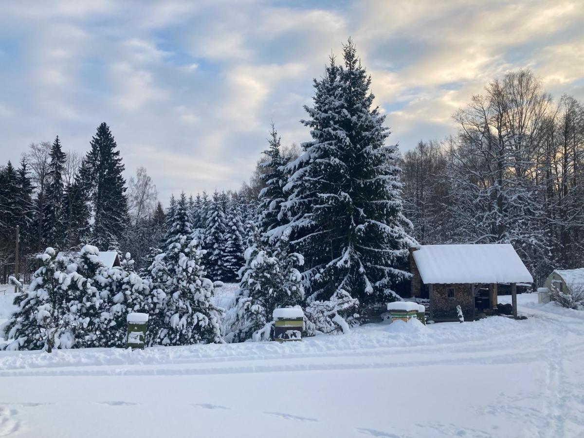 Mezupes Guest House Tūja Екстериор снимка