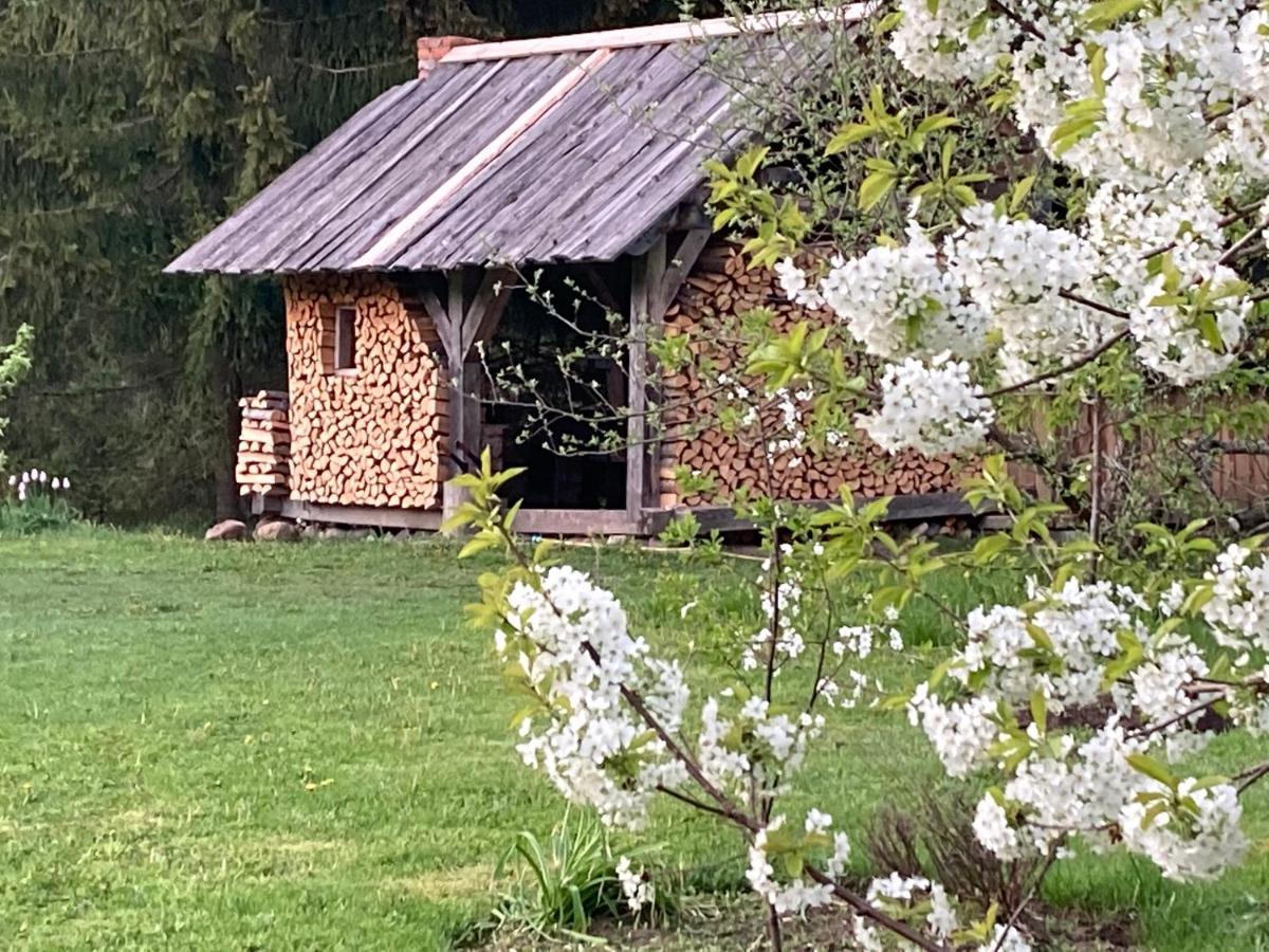 Mezupes Guest House Tūja Екстериор снимка